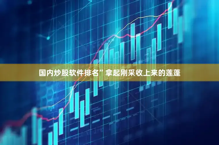国内炒股软件排名”拿起刚采收上来的莲蓬