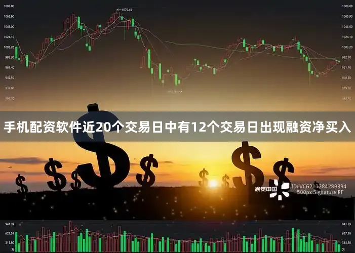 手机配资软件近20个交易日中有12个交易日出现融资净买入