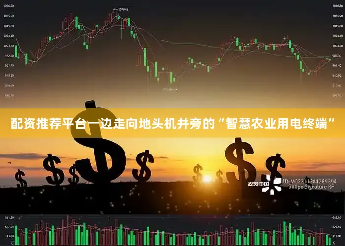 配资推荐平台一边走向地头机井旁的“智慧农业用电终端”