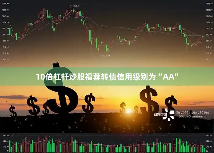 10倍杠杆炒股福蓉转债信用级别为“AA”