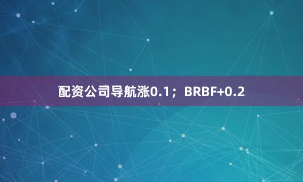 配资公司导航涨0.1；BRBF+0.2
