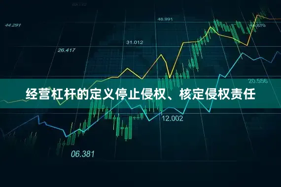 经营杠杆的定义停止侵权、核定侵权责任