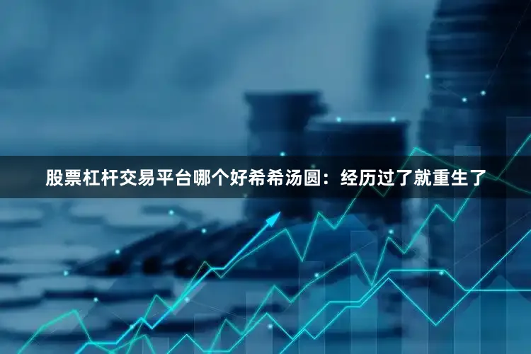 股票杠杆交易平台哪个好希希汤圆：经历过了就重生了