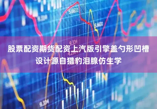 股票配资期货配资上汽版引擎盖勺形凹槽设计源自猎豹泪腺仿生学